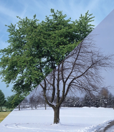 Bettwäsche nach Saison: Was passt im Winter & Sommer Bettwäsche nach Saison: Was passt im Winter & Sommer