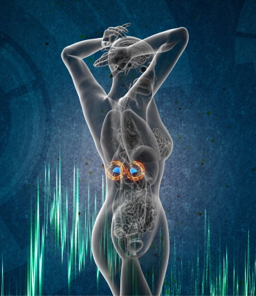 Hormone und nächtliches Schwitzen: Menopause, Schwangerschaft, Schilddrüse