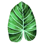 Badematte „Leaf mat“, 58x88 cm. Grüne badematte in tropischer blattform mit smaragdgrün und dunklen grüntönen. Badematte „Leaf mat“, 58x88 cm. Grüne badematte in tropischer blattform mit smaragdgrün und dunklen grüntönen.