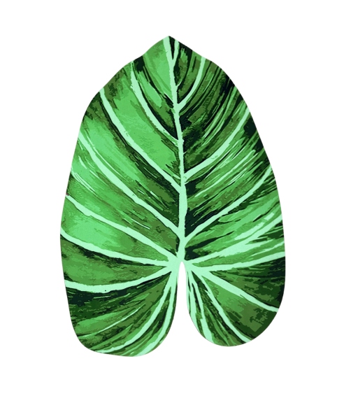 Badematte „Leaf mat“. Badteppich